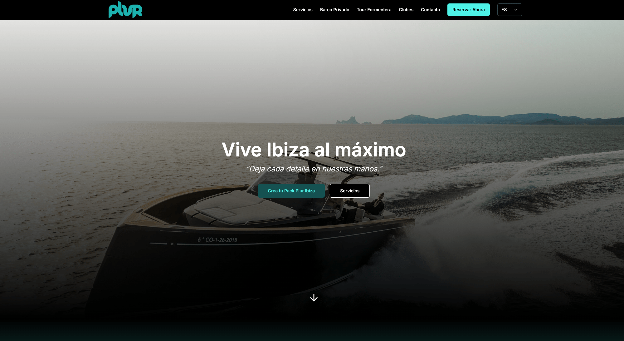 Web Simple pero Informativa